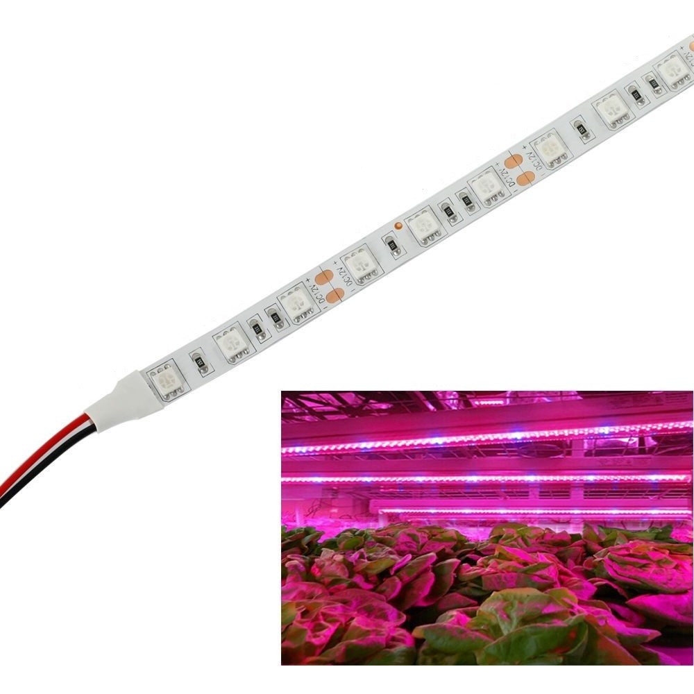 9,6w M Stænktæt Vækst Led Strip 5m, 60 Led Pr. Meter, Ip65 fra Ledlife