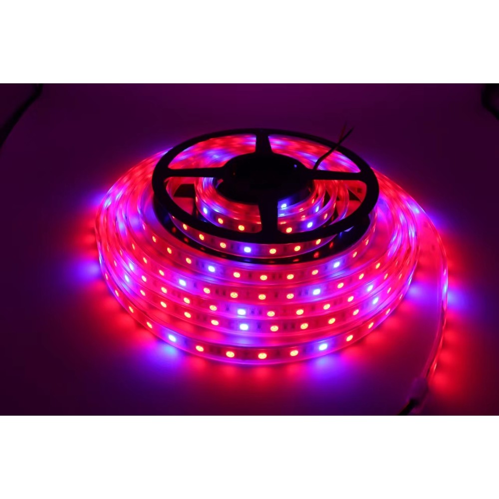8,5w M Stænktæt Vækst Led Strip   5m, 60 Led Pr. Meter, 24v Dc, Ip65 fra Ledlife