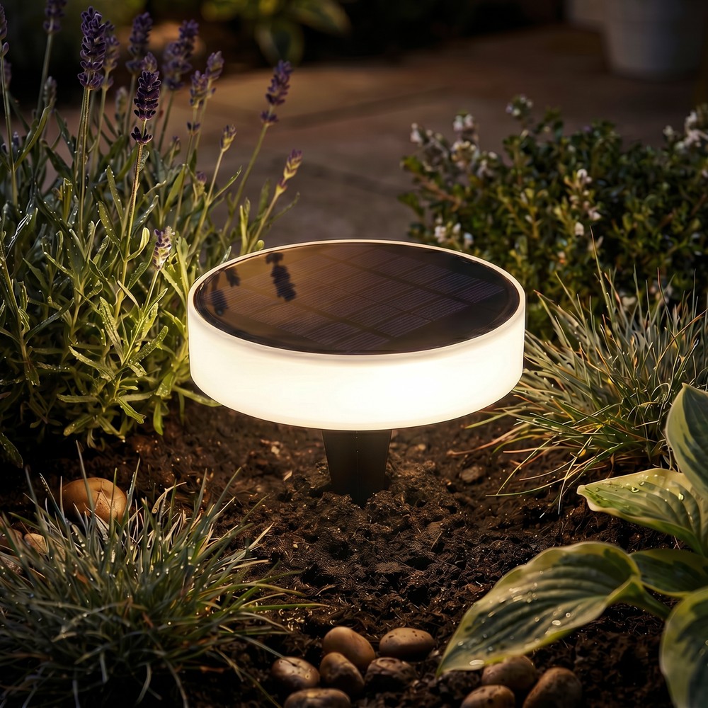 Solcelle Bedlampe   Ip65, Skumringssensor, Spyd Væg Montering   Farve På Hus : Sort, Kulør : Varm fra Ledlife