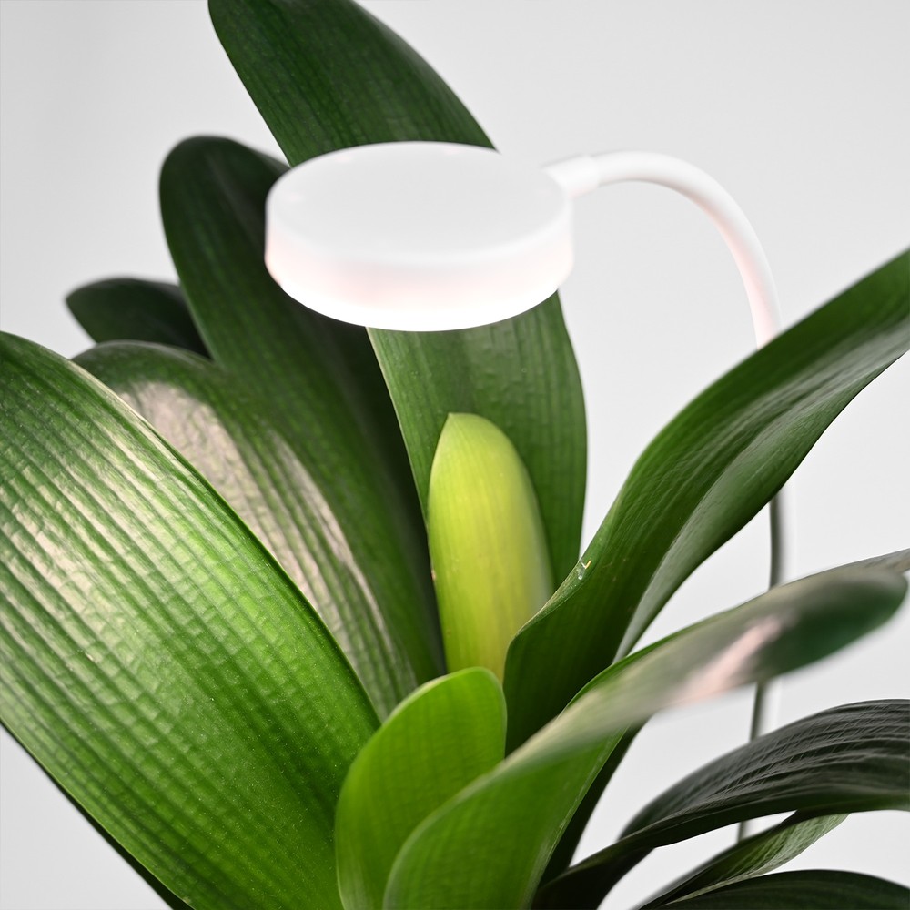 Fleksibel Plantelys Med Spyd 12w, Timer fra Ledlife