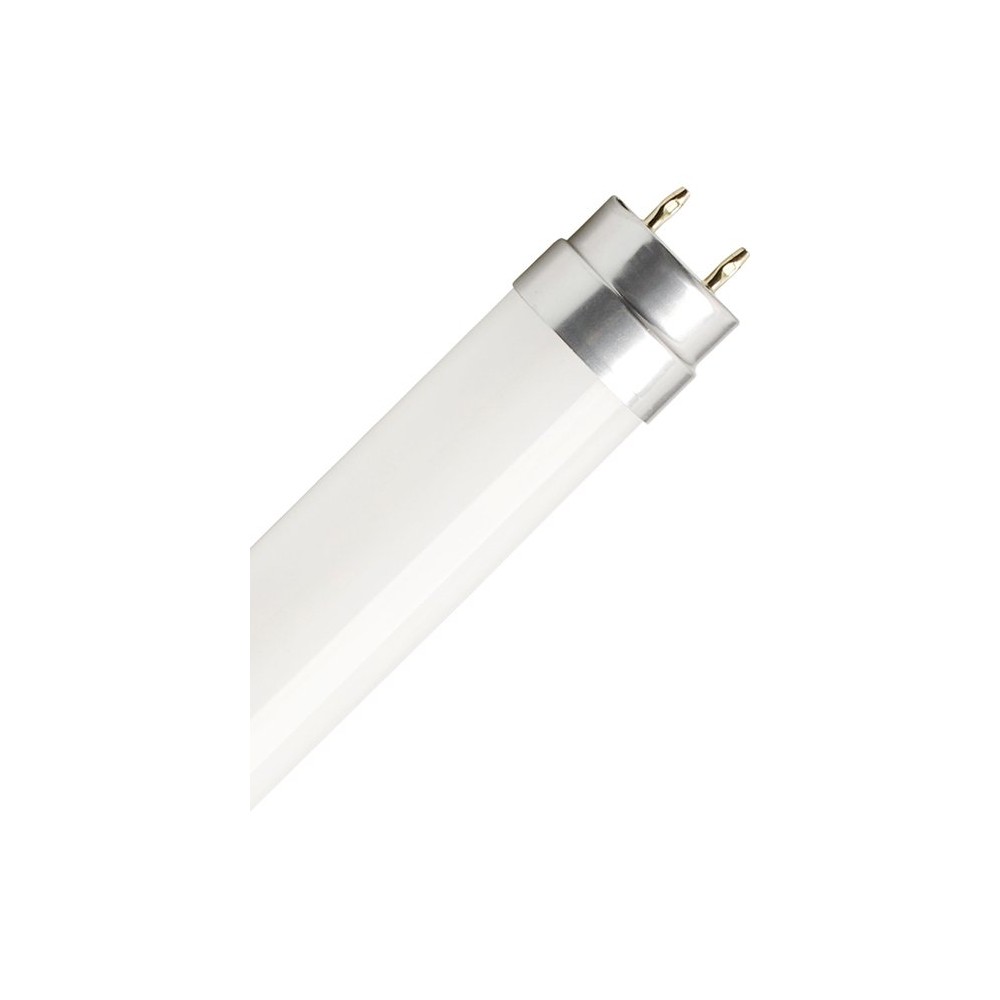 120cm   16w T8 Led Rør   160lm W, Glas, Direkte Ballast Kompatibel, 6500k   Kulør : Kold fra Spl