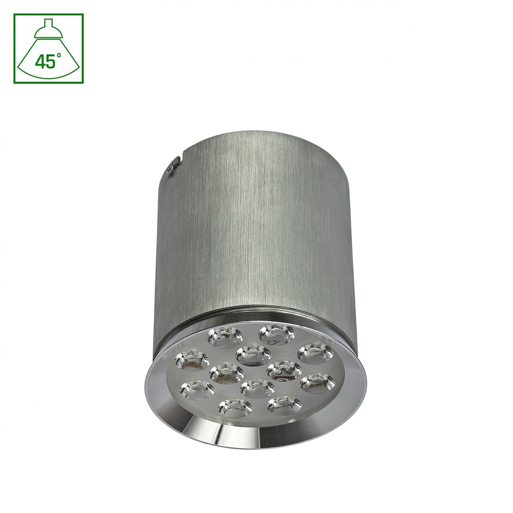 Chloe 12led 230v 12w Ip20 45deg Cw Ceiling Kulør : Varm fra Spectrum