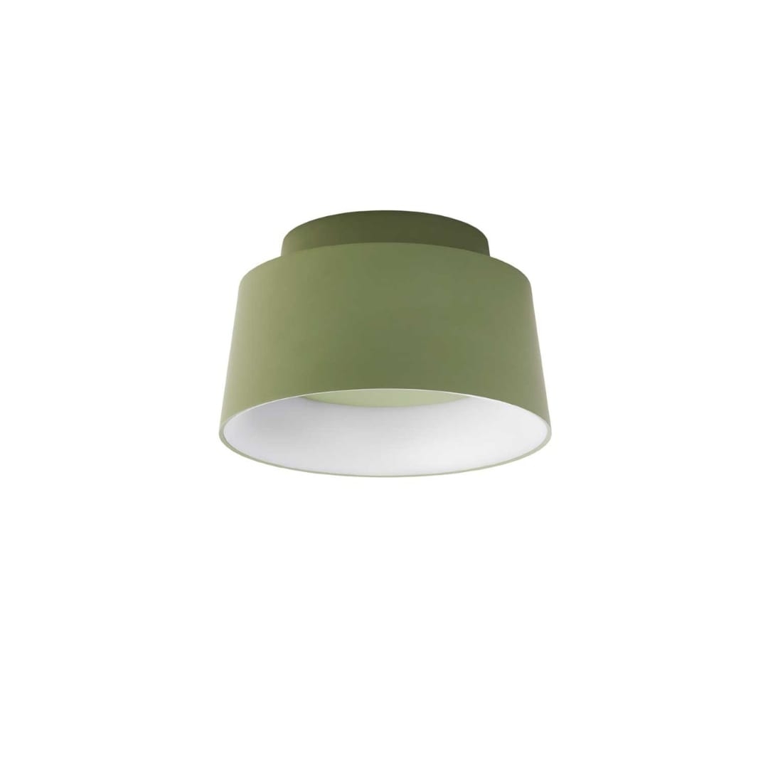 Cookie Væg  Og Loftlampe Grøn     fra Loom Design